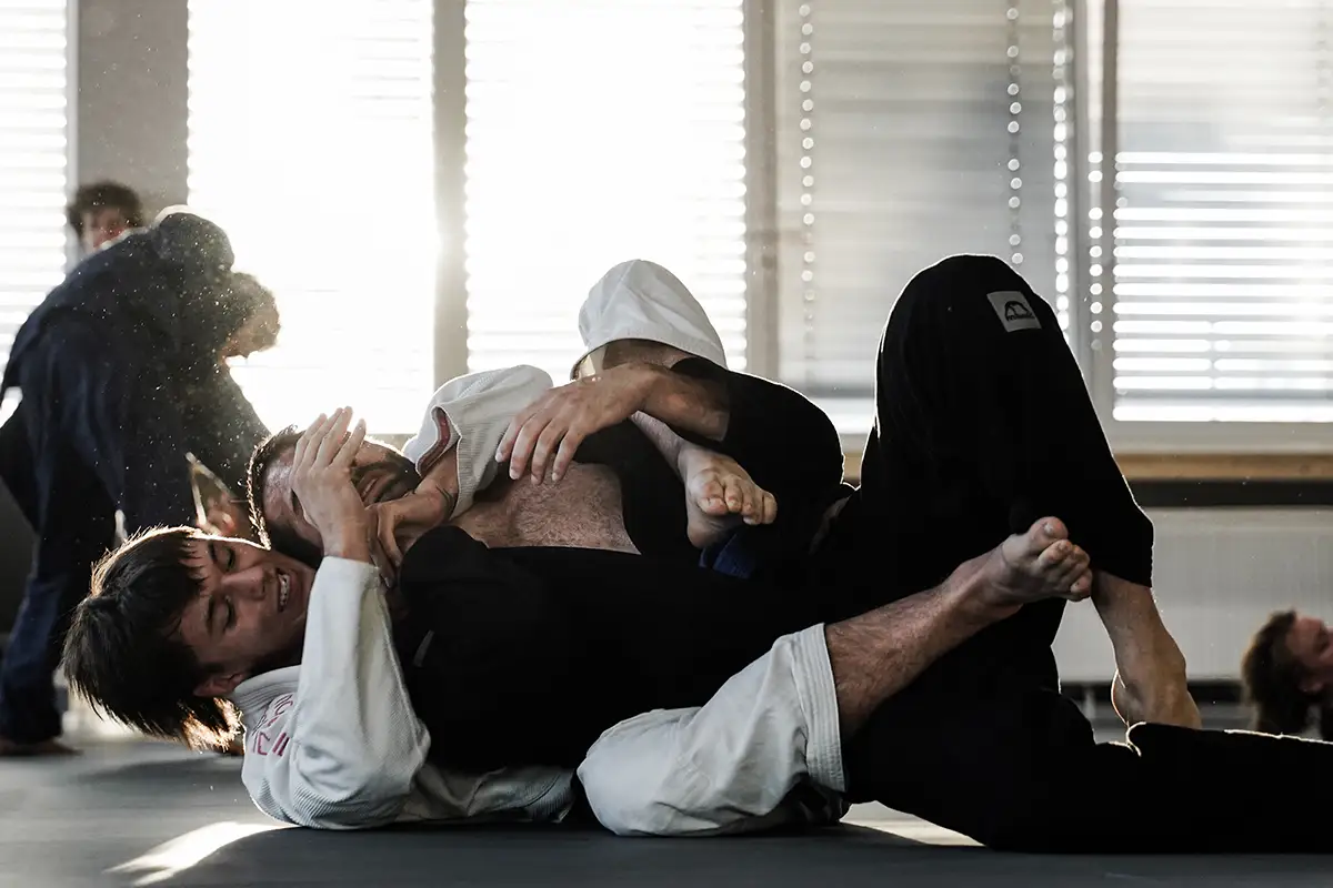 Brazilian Jiu-Jitsu Trainerteam Janek Tatarynowicz