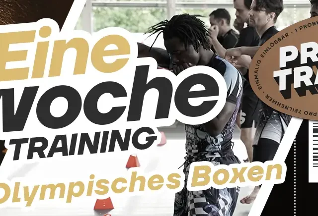 Boxen - 1 Woche Probetraining